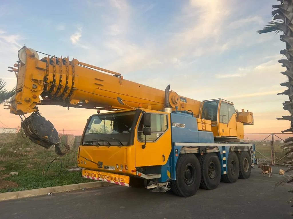 Location de grue mobile